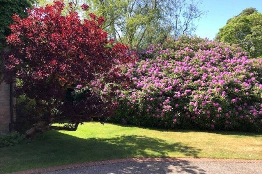 Winkworth Farnham