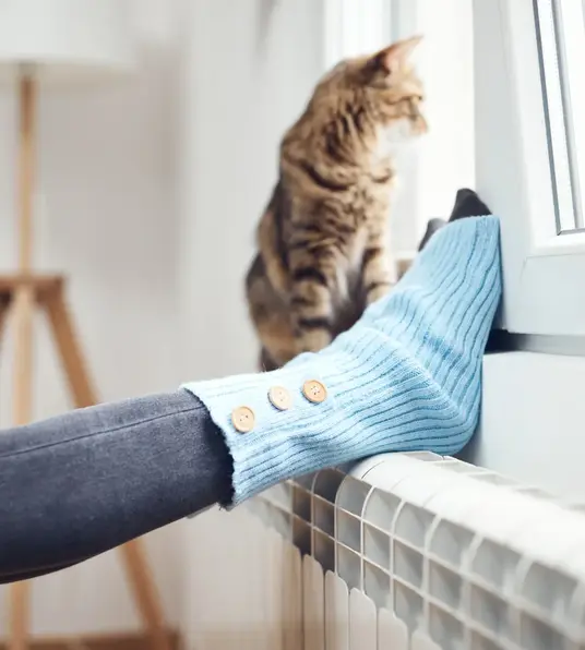 a cat sitting on a window sill