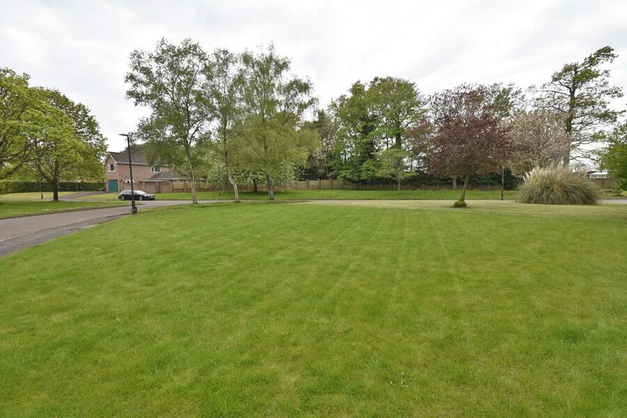 A FRONT GARDEN_edite