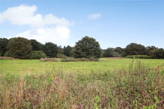 The Common, Norwich, NR14