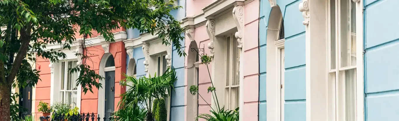 a row of buildings with plants