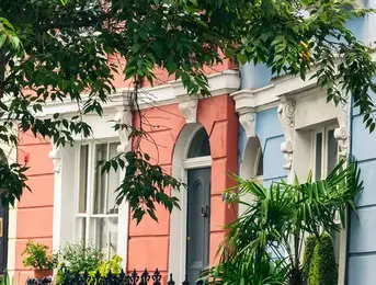 a row of buildings with plants