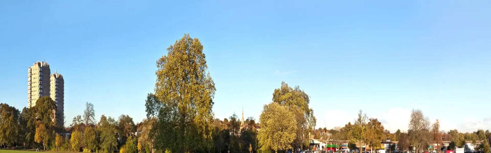 Herne Hill Image