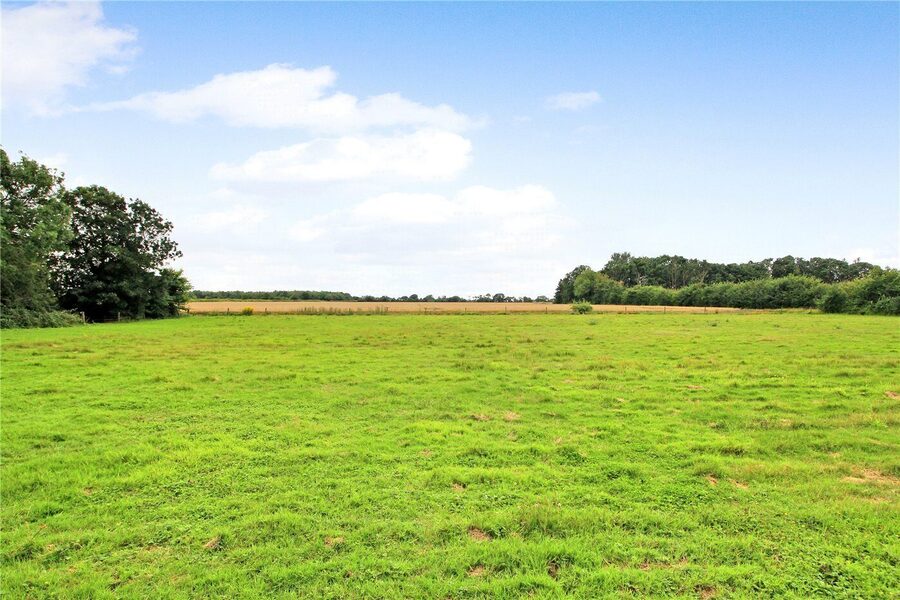 Agriculture Paddock