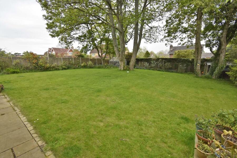 A GARDEN 1.JPG