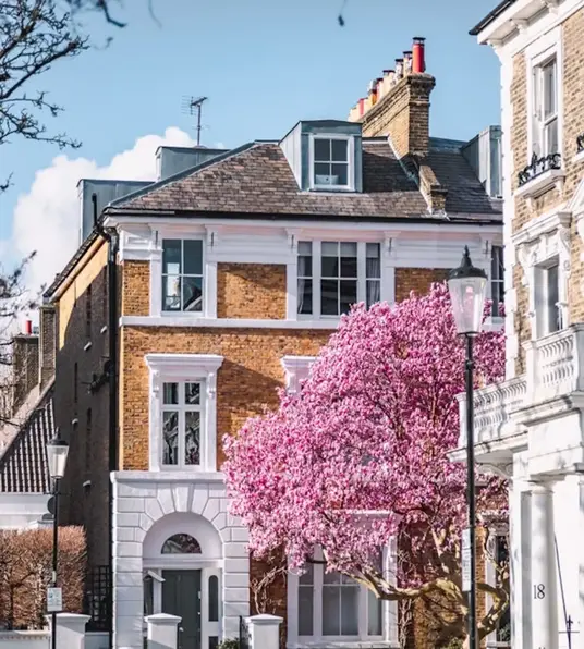 a row of houses with pink trees