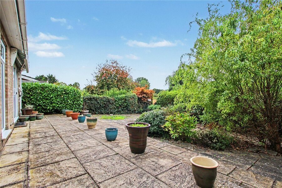 Rear