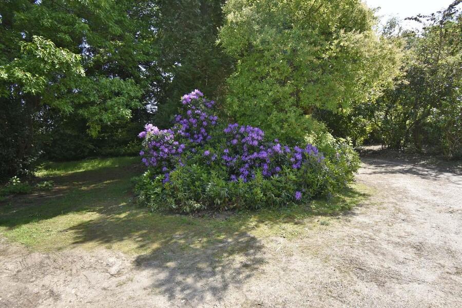 A GARDEN 4 NEW.JPG