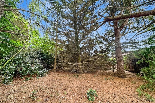 Bradshaw Road, Norwich, NR8