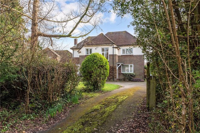 Bell Hill Ridge, Hampshire, GU32