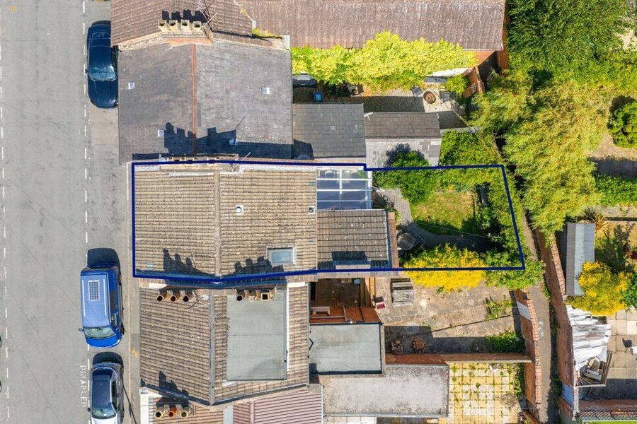 Birdseye
