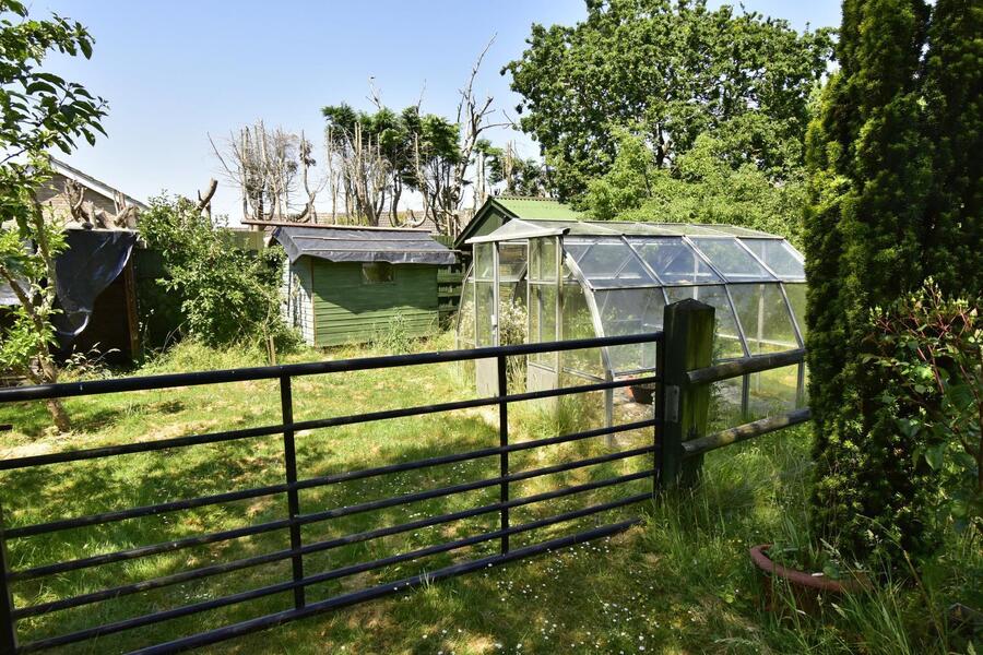 A GARDEN 4.JPG