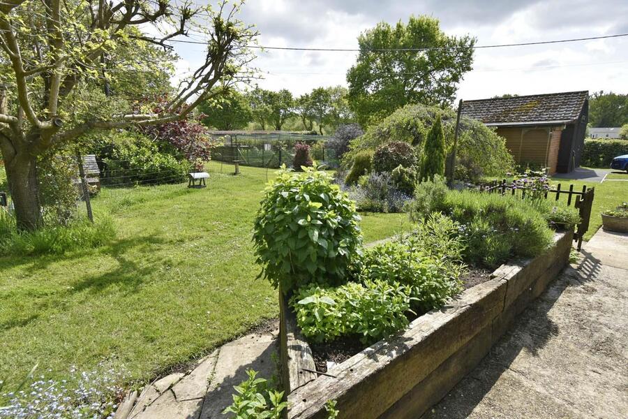 A GARDEN 5 NEW.JPG