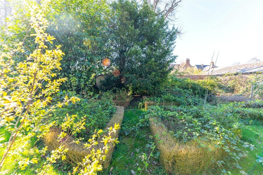 Vegetable Garden To