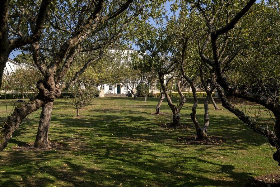 Orchard