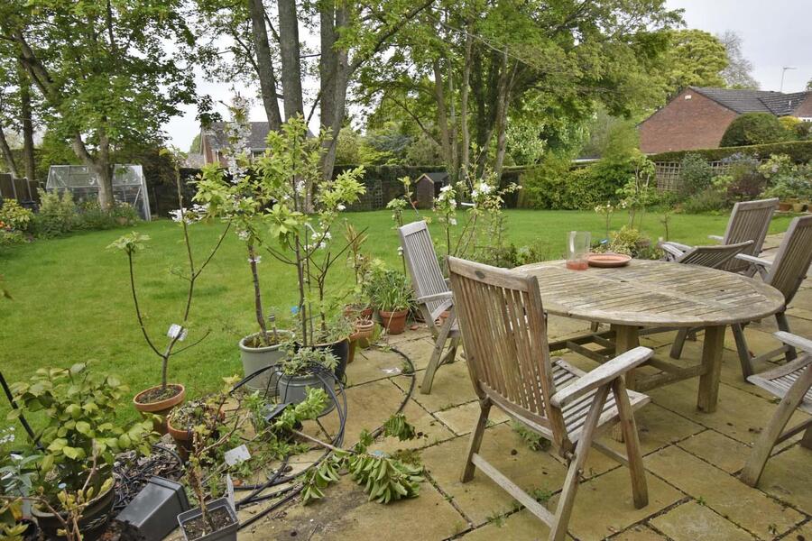A GARDEN 2.JPG