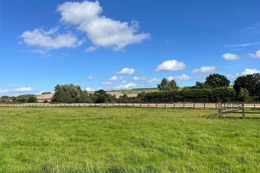 Pasture