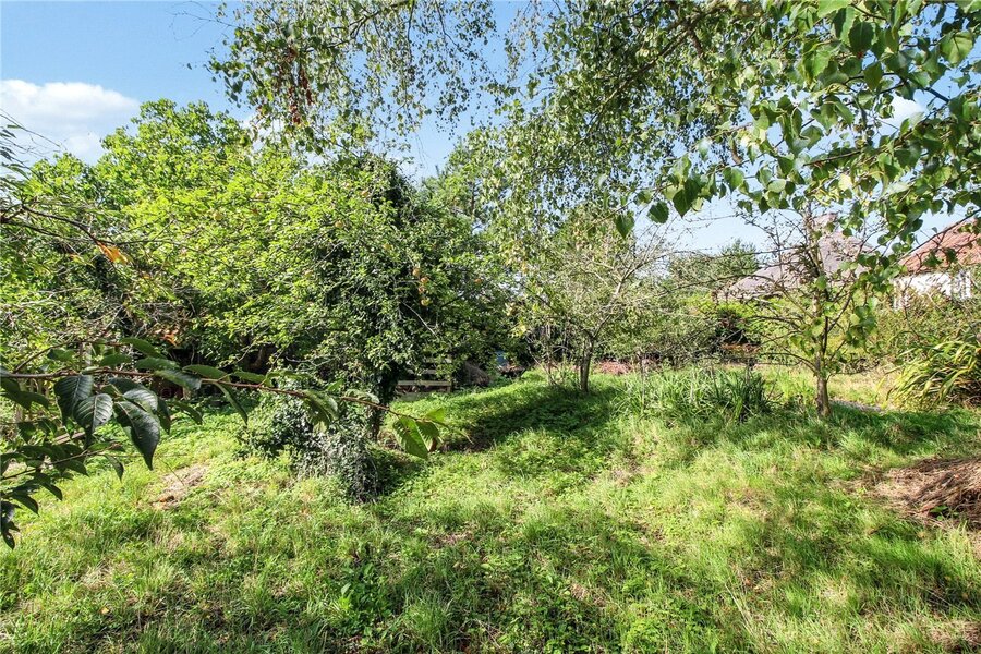 Grounds
