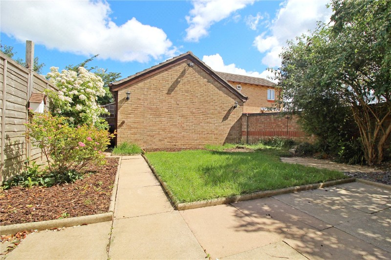 Foxgloves, Deeping St. James, Peterborough, Lincolnshire, PE6