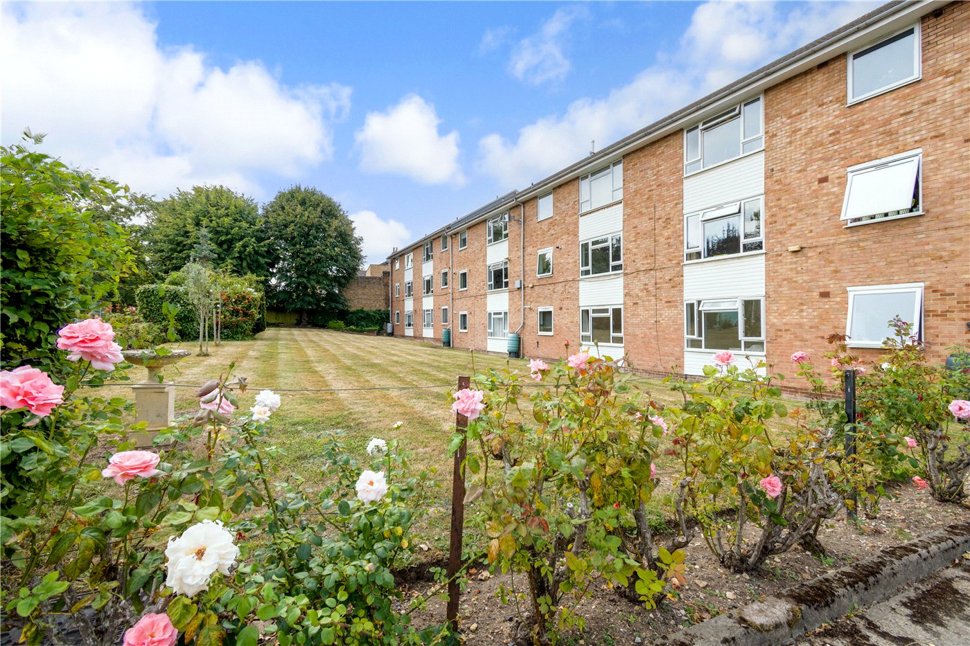 Communal Gardens