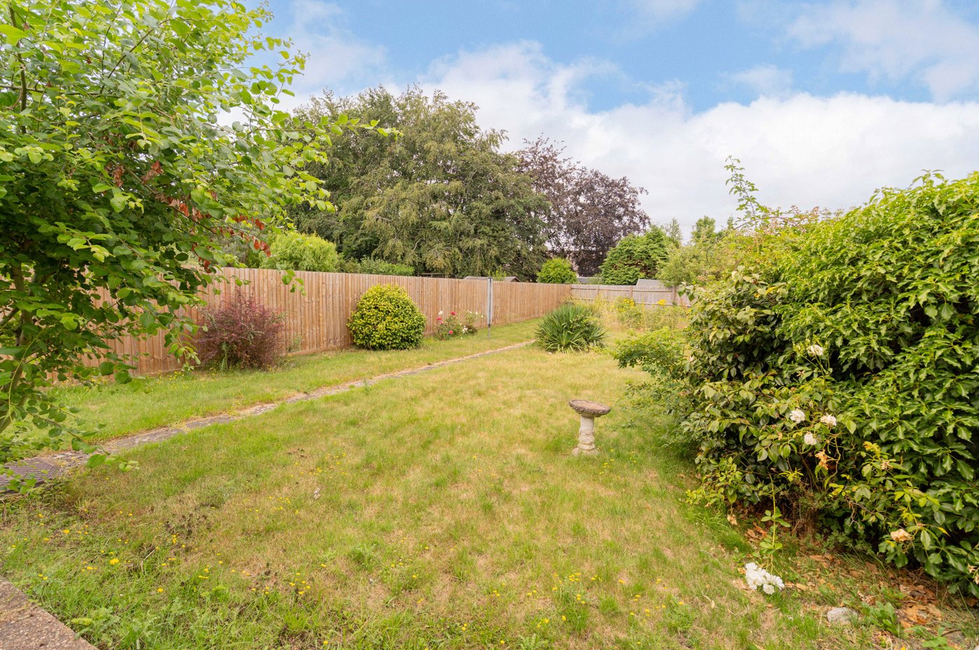 Back Garden