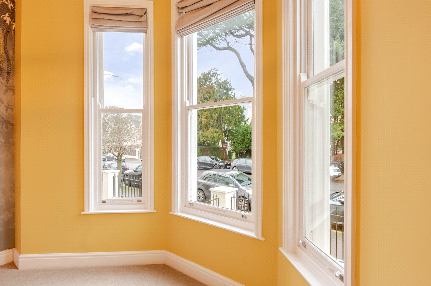 Drawing Room Windows
