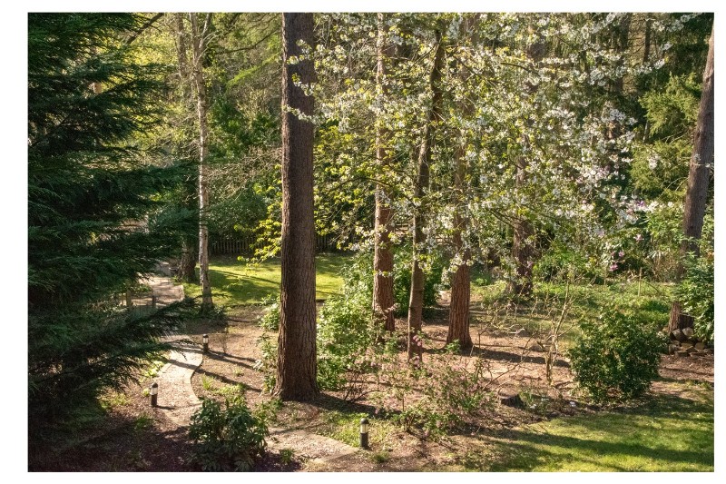 Hollybush Ride, Finchampstead, Wokingham, Berkshire, RG40