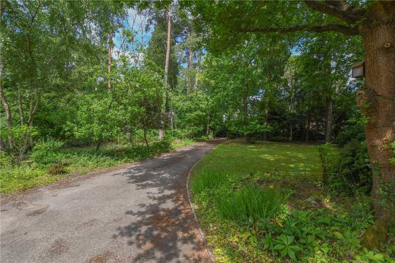 Hollybush Ride, Finchampstead, Wokingham, Berkshire, RG40