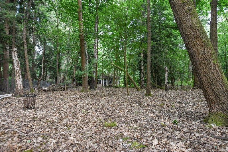 Hollybush Ride, Finchampstead, Wokingham, Berkshire, RG40
