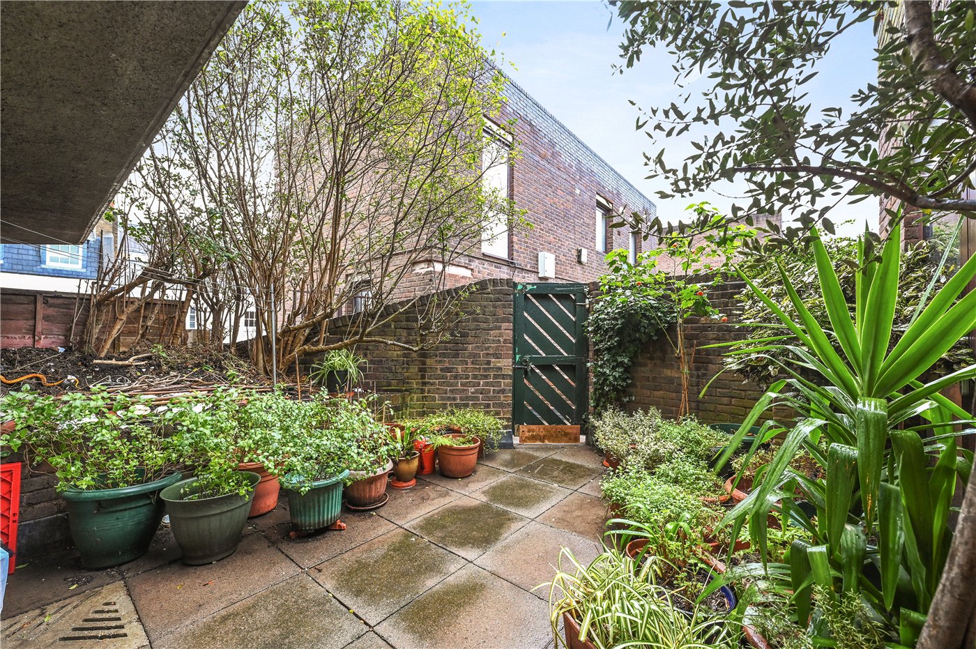 Patio Garden