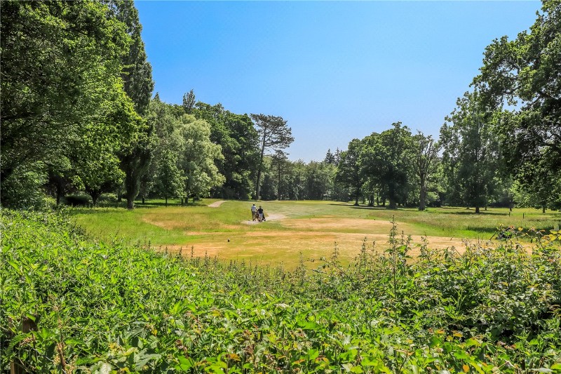 Bramshaw, Lyndhurst, Hampshire, SO43