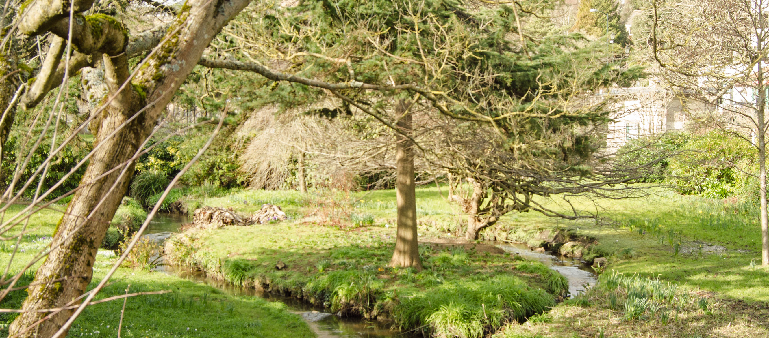 Estate Agents in Talbot Woods