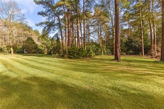 Rogate, Petersfield, GU31