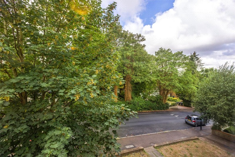 Highfield Hill, London, SE19