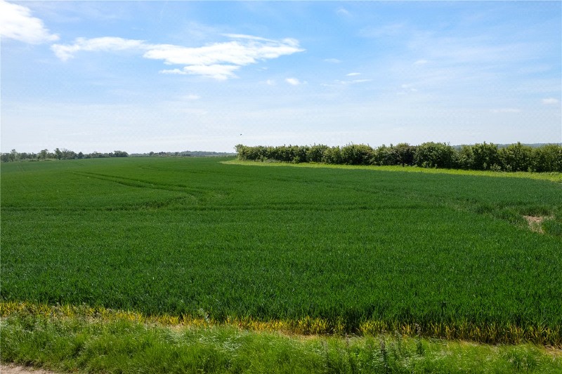 Ileden Lane, Kingston, Canterbury, Kent, CT4