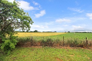 Langley Green, Langley, Norwich, Norfolk, NR14