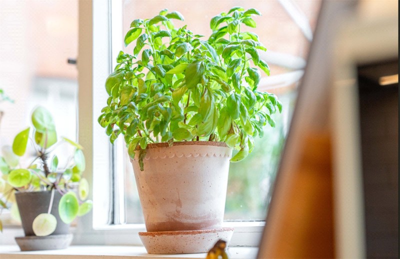 Manor Road, Leamington Spa, Warwickshire, CV32