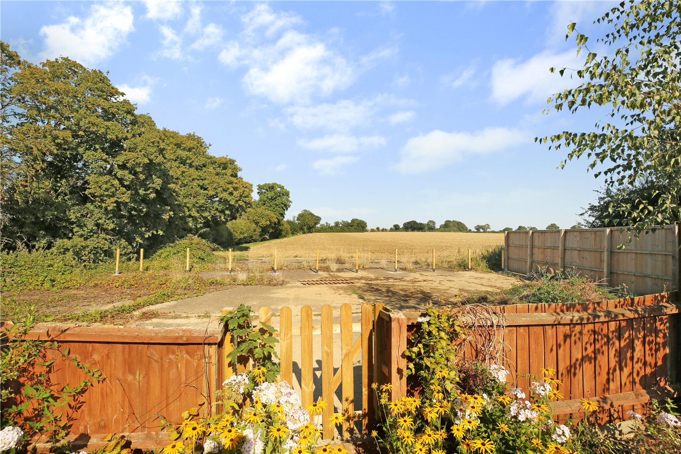Extra Land