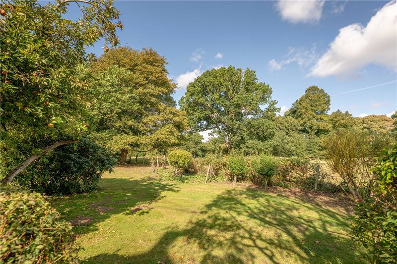 Walnut Hill, Surlingham, Norwich, Norfolk, NR14
