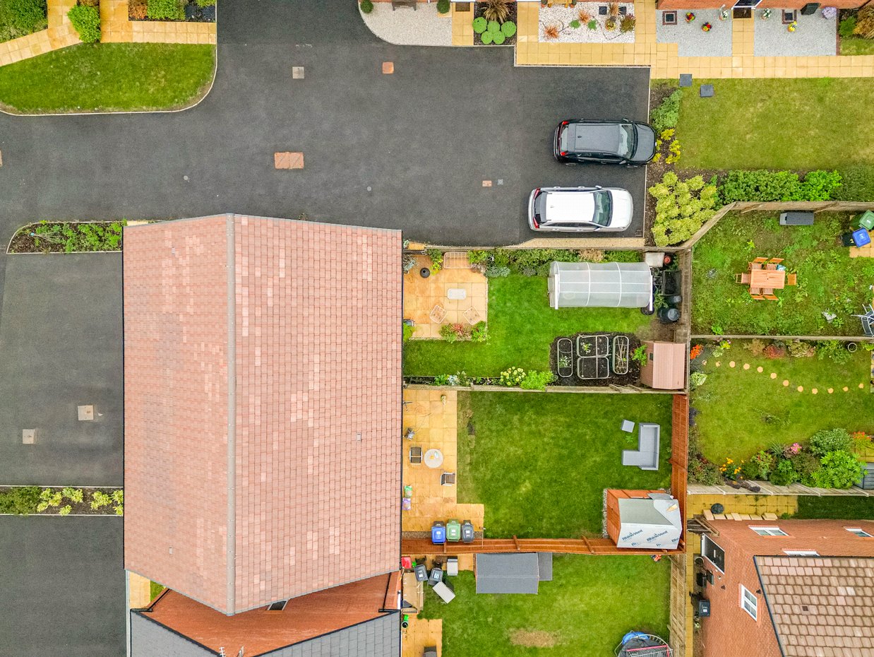 Birdseye