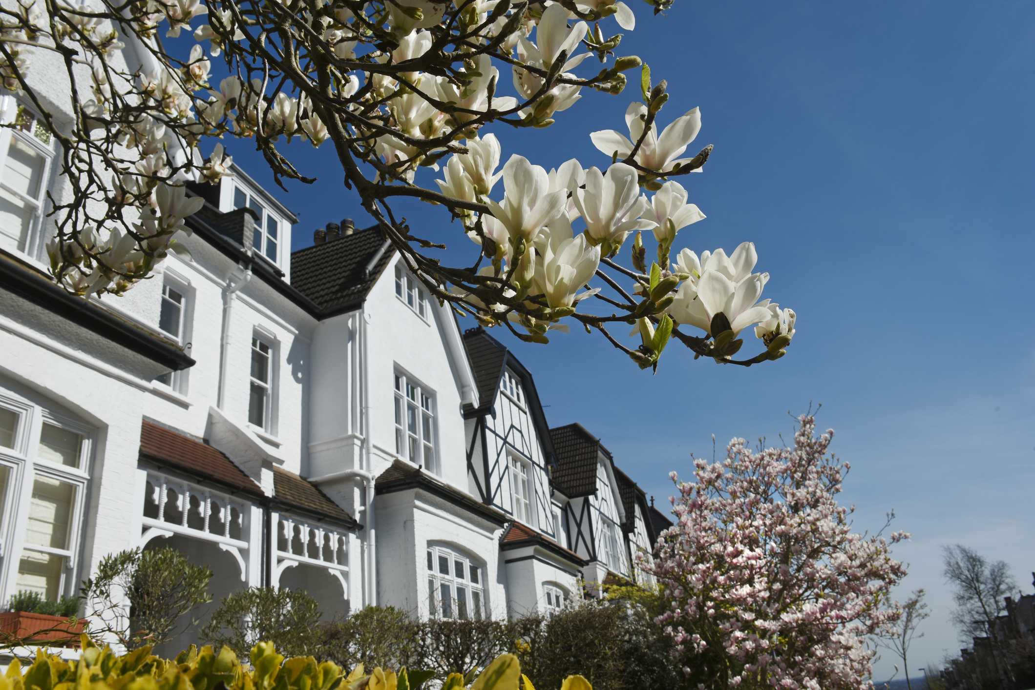 spring-property