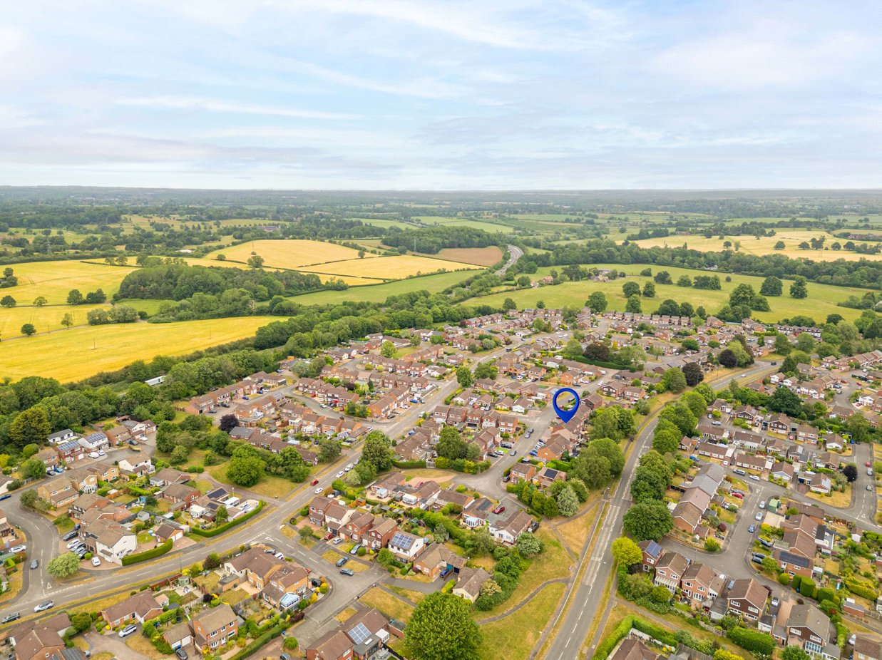 Drone View