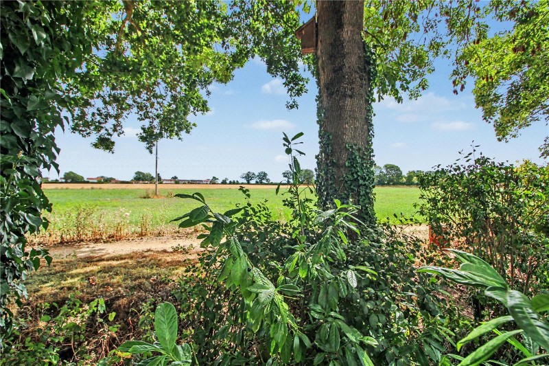 Old Hall Park, Seething, Norwich, Norfolk, NR15
