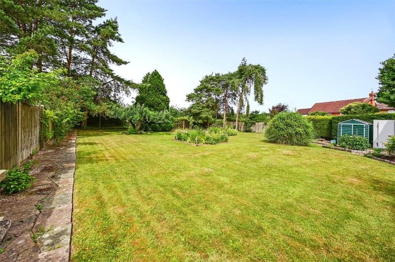 Bluebell Meadow, Winnersh, Wokingham, Berkshire, RG41