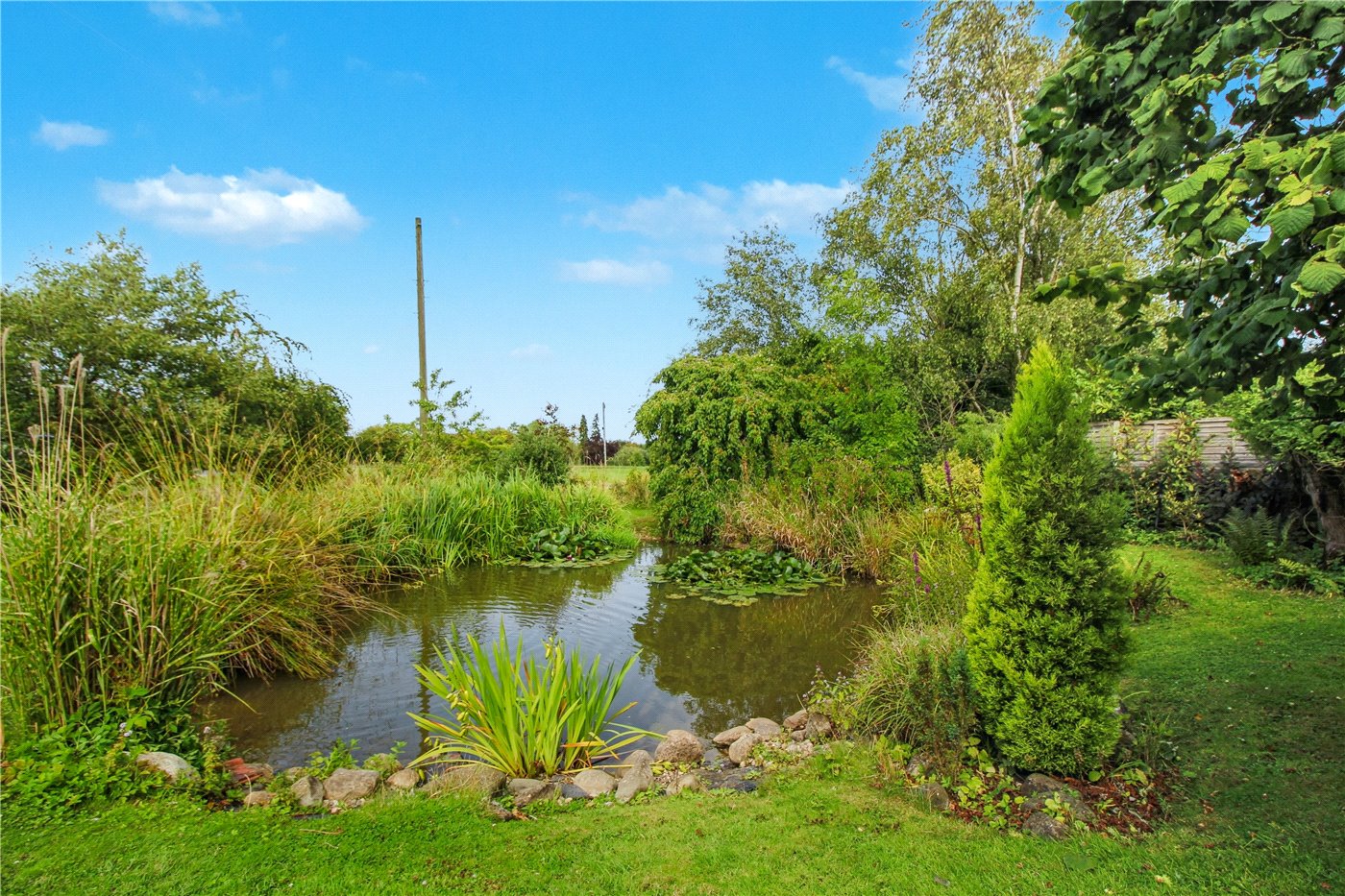 Pond