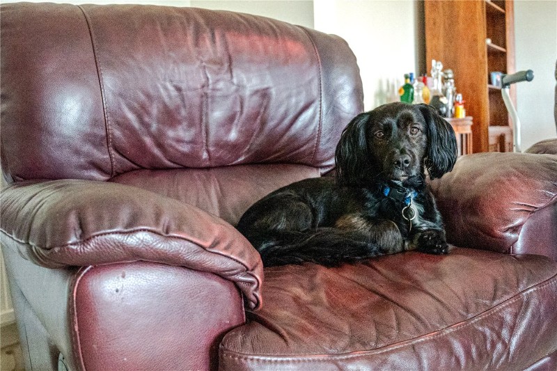 Romsey Road, East Wellow, Romsey, Hampshire, SO51