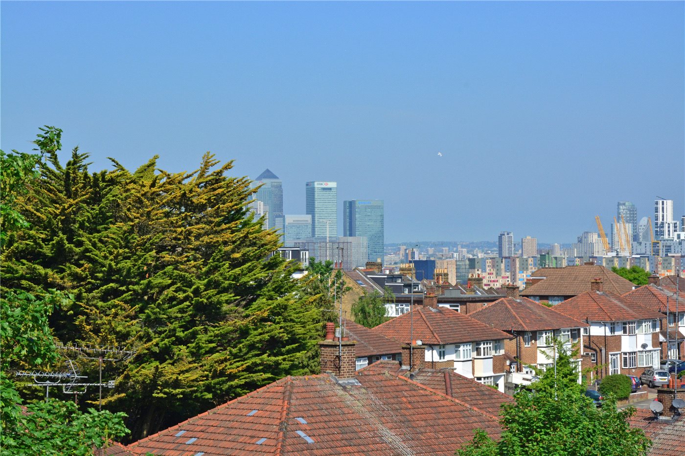 Cityviews