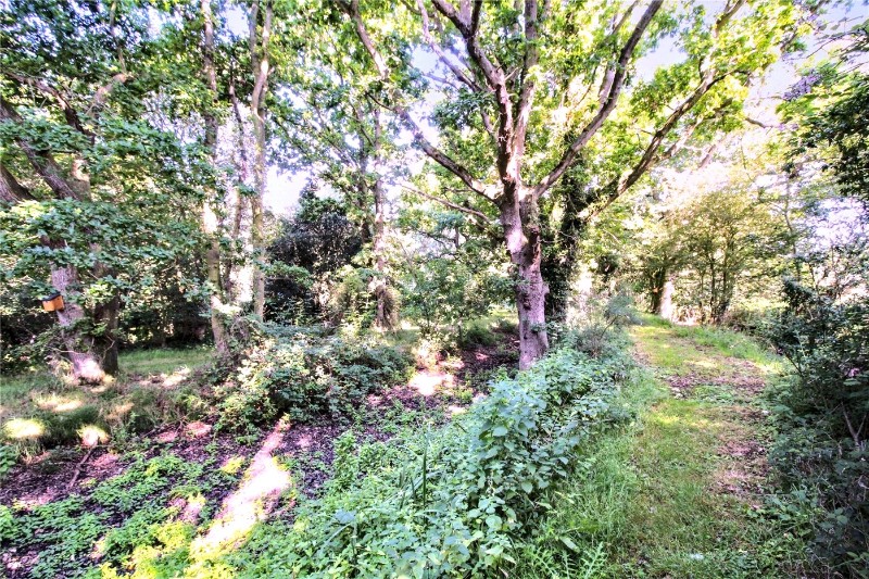 Blyford Lane, Wenhaston, Halesworth, Suffolk, IP19