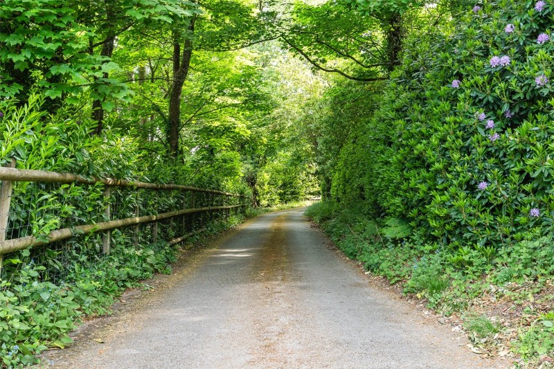 Arrowsmith Road, Canford Magna, Wimborne, Dorset, BH21