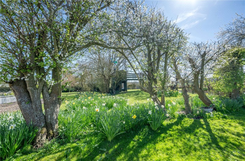 Hales Hall Lane, Hales Green, Hales, Norwich, NR14